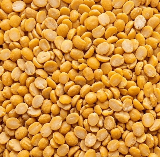Premium pigeon peas (Toor Dal) — export quality
